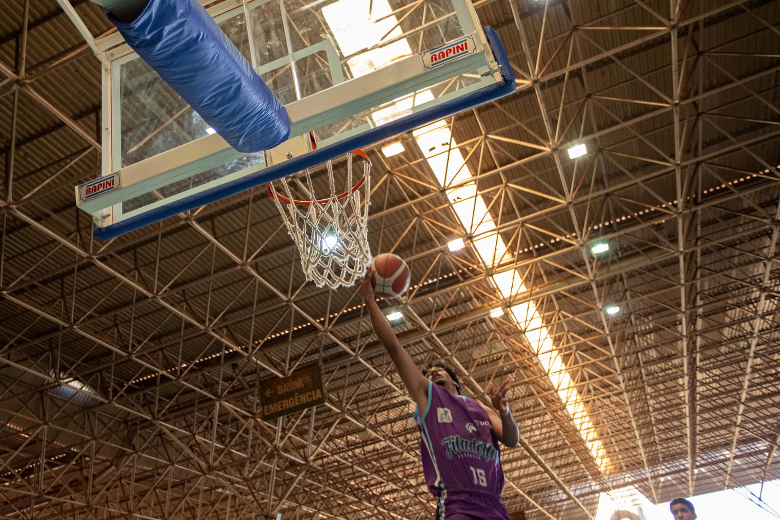 Filadélfia Basquete: Categorias de formação